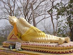 bkk113
