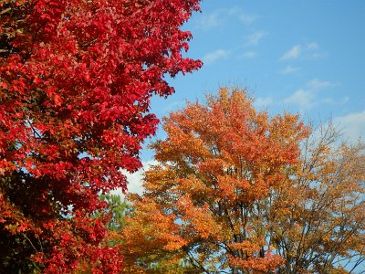 Autumn23 (168)