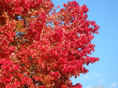 Autumn23 (169)