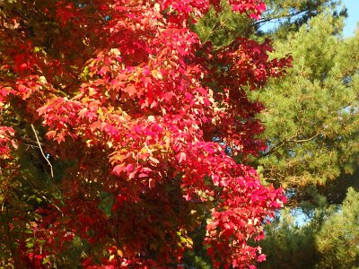 Autumn23 (174)