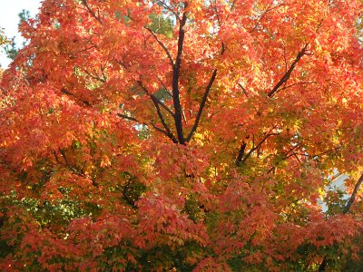 Autumn23 (258)