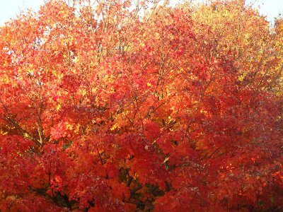 Autumn23 (342)