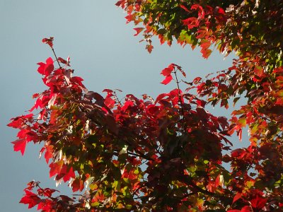 Autumn23 (75)