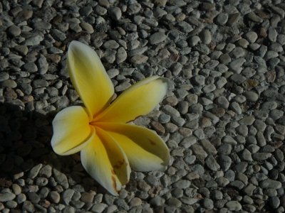 BaliOct23 (27)