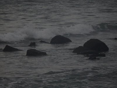 BaliOct28 (1)