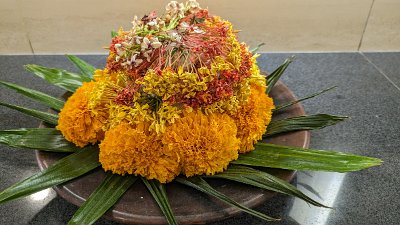 NatureBali23 (167)