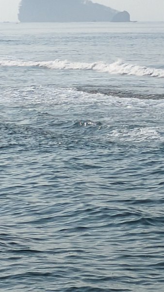RamayanCBali23 (168)