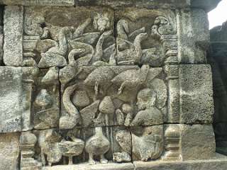 borobudur (263)