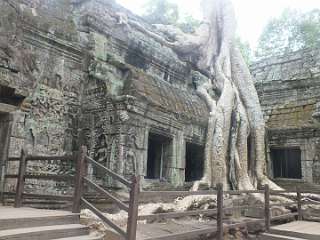 taphrom (4)