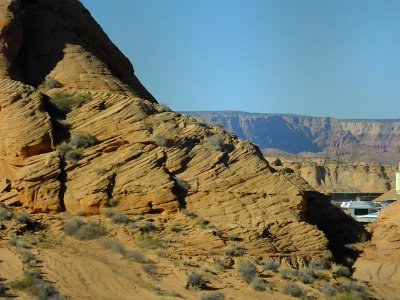 2Buckskin (105)