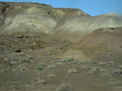 2Buckskin (36)
