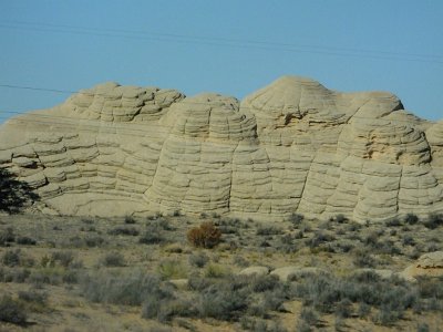 2Buckskin (75)