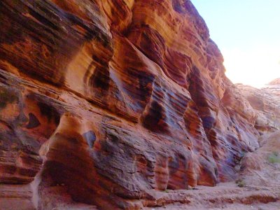 Buckskin (53)