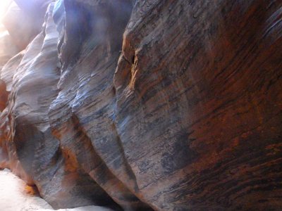 Buckskin (69)