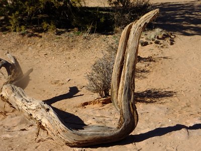 CanyonArch (159)