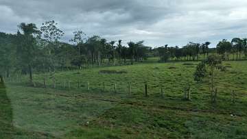 CostaRica1122 (335)