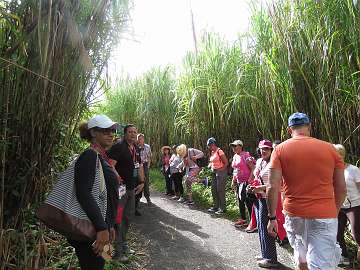 CostaRica1123 (23)