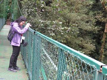 CostaRica1124 (330)