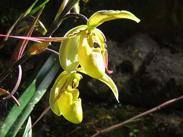CostaRica1126 (279)