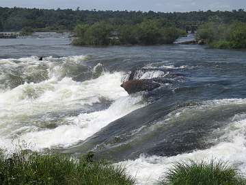 IguazuArg (72)