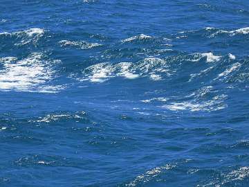 wave (317)