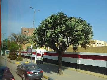 AswanCity (75)