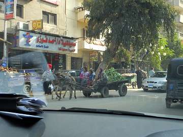 Cairo (33)