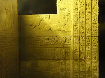 Horus (22)