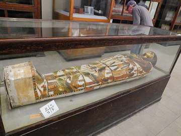 Museum (143)