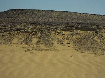 Sahara (100)