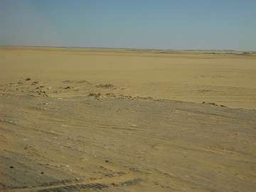 Sahara (174)