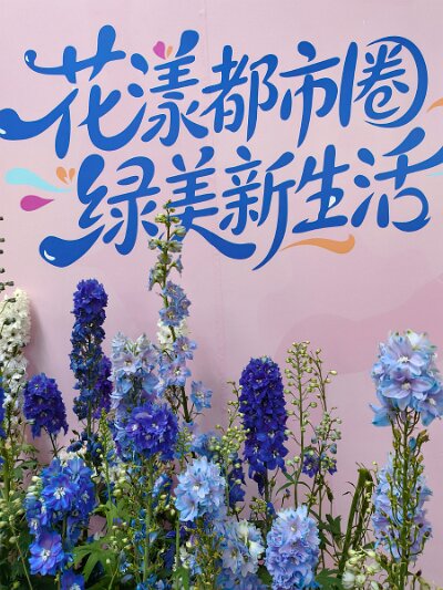 WuhanFlowerShow0426 (147)