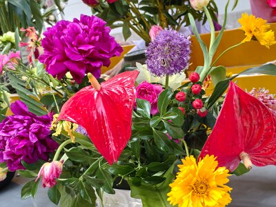 WuhanFlowerShow0426 (163)