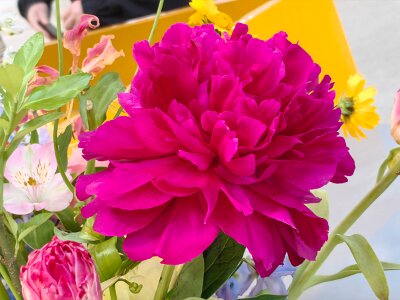 WuhanFlowerShow0426 (166)