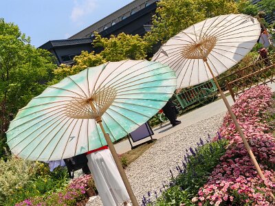 WuhanFlowerShow0426 (172)