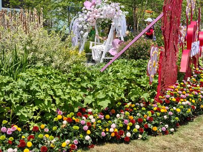 WuhanFlowerShow0426 (176)