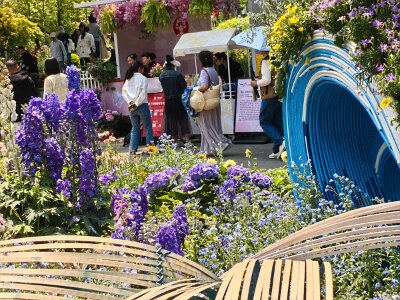 WuhanFlowerShow0426 (268)