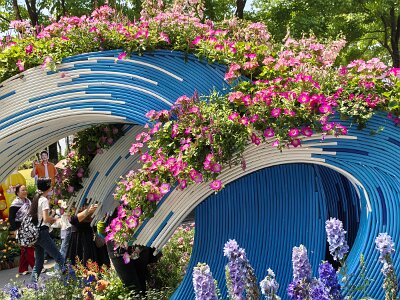 WuhanFlowerShow0426 (271)