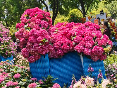 WuhanFlowerShow0426 (277)