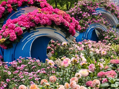 WuhanFlowerShow0426 (281)