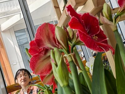 WuhanFlowerShow0426 (29)