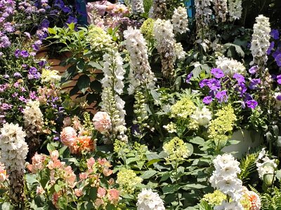 WuhanFlowerShow0426 (293)
