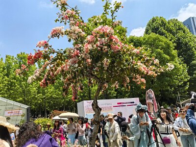 WuhanFlowerShow0426 (294)
