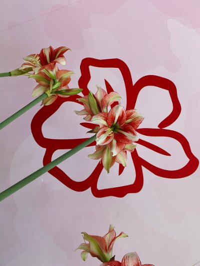 WuhanFlowerShow0426 (30)