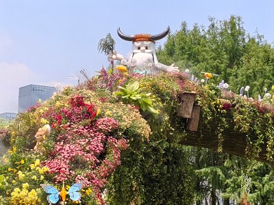 WuhanFlowerShow0426 (306)