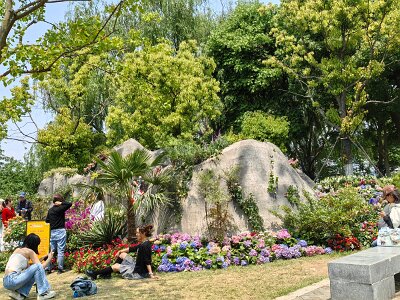 WuhanFlowerShow0426 (310)