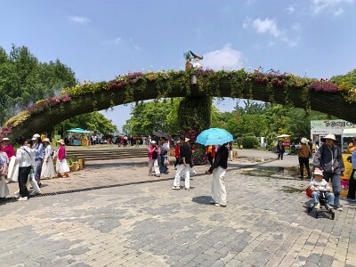 WuhanFlowerShow0426 (328)