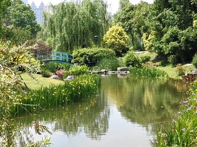 WuhanFlowerShow0426 (349)