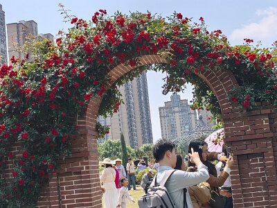 WuhanFlowerShow0426 (367)