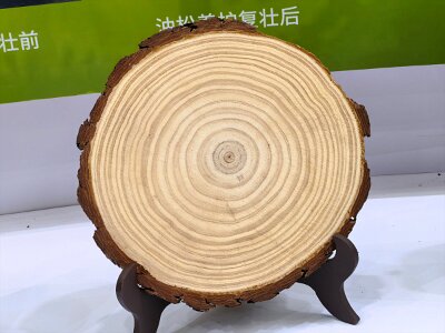 WuhanFlowerShow0426 (399)